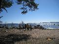 Naturstigen gick längs Versö strand 16.5 2017